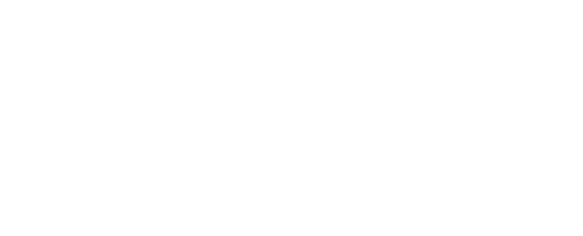 Solegis Logo